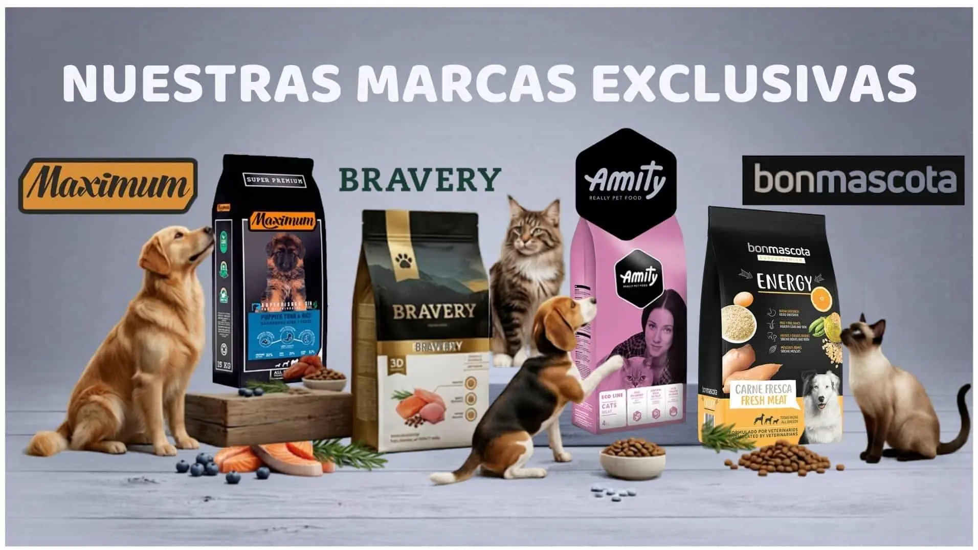 Nuestras-marcas-exclusivas-banner